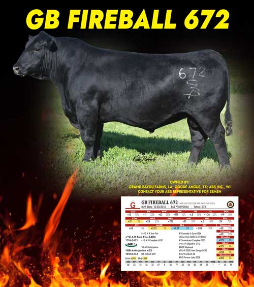 GB Fireball 672