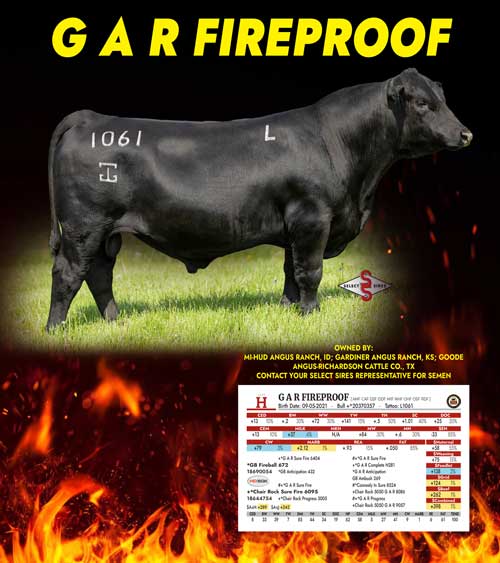 GAR Fireproof